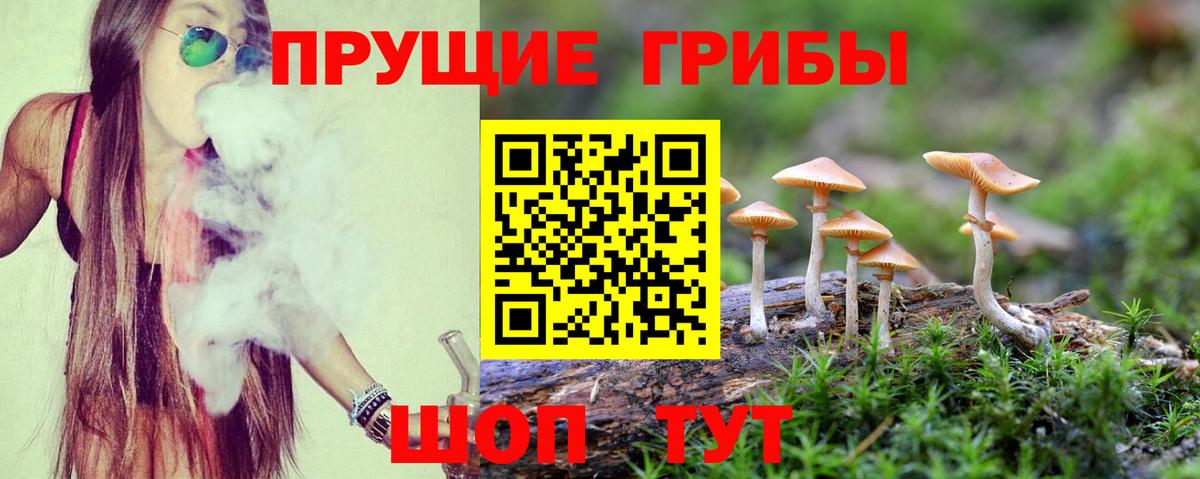 Псилоцибиновые грибы Magic Shrooms Асино