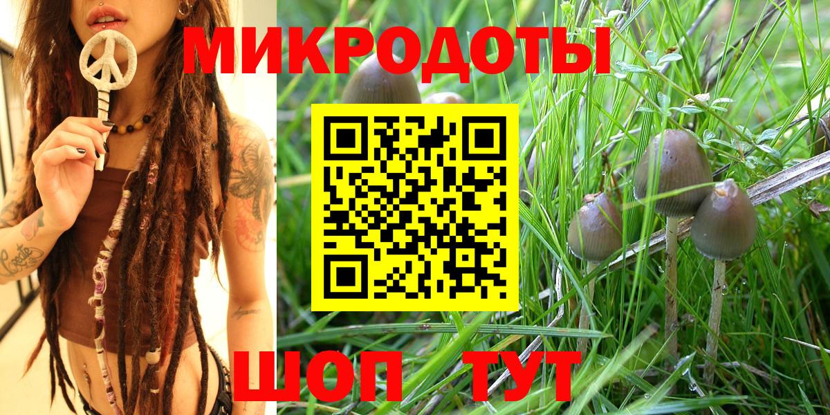 Псилоцибиновые грибы мухоморы  Псилоцибиновые грибы мицелий  Асино  Вход с VPN 