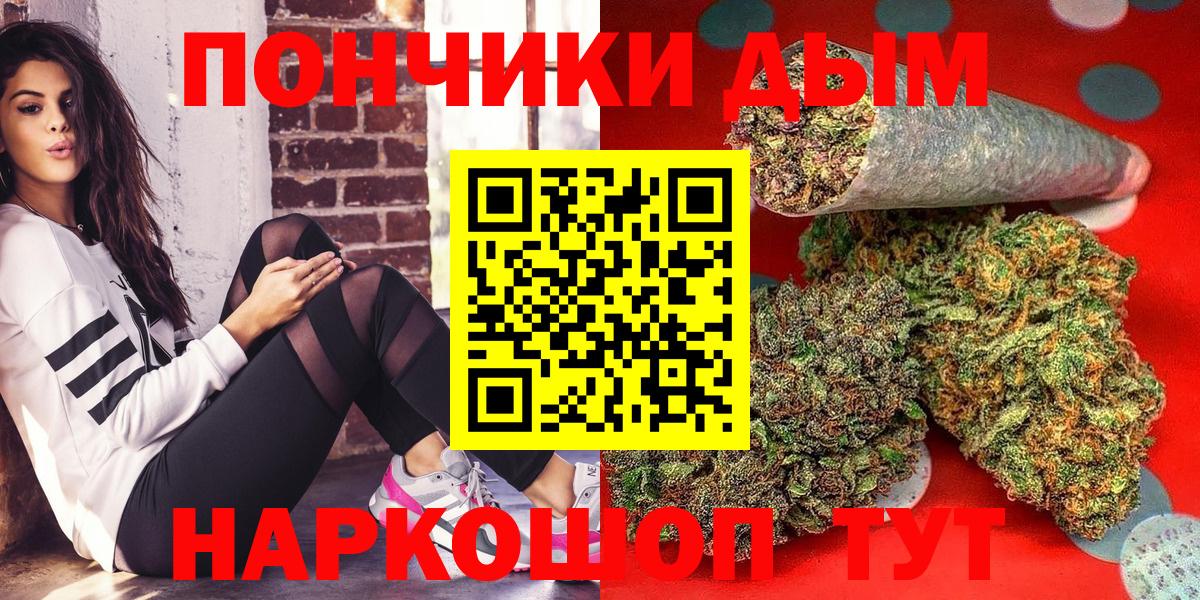 Каннабис SATIVA & INDICA Асино